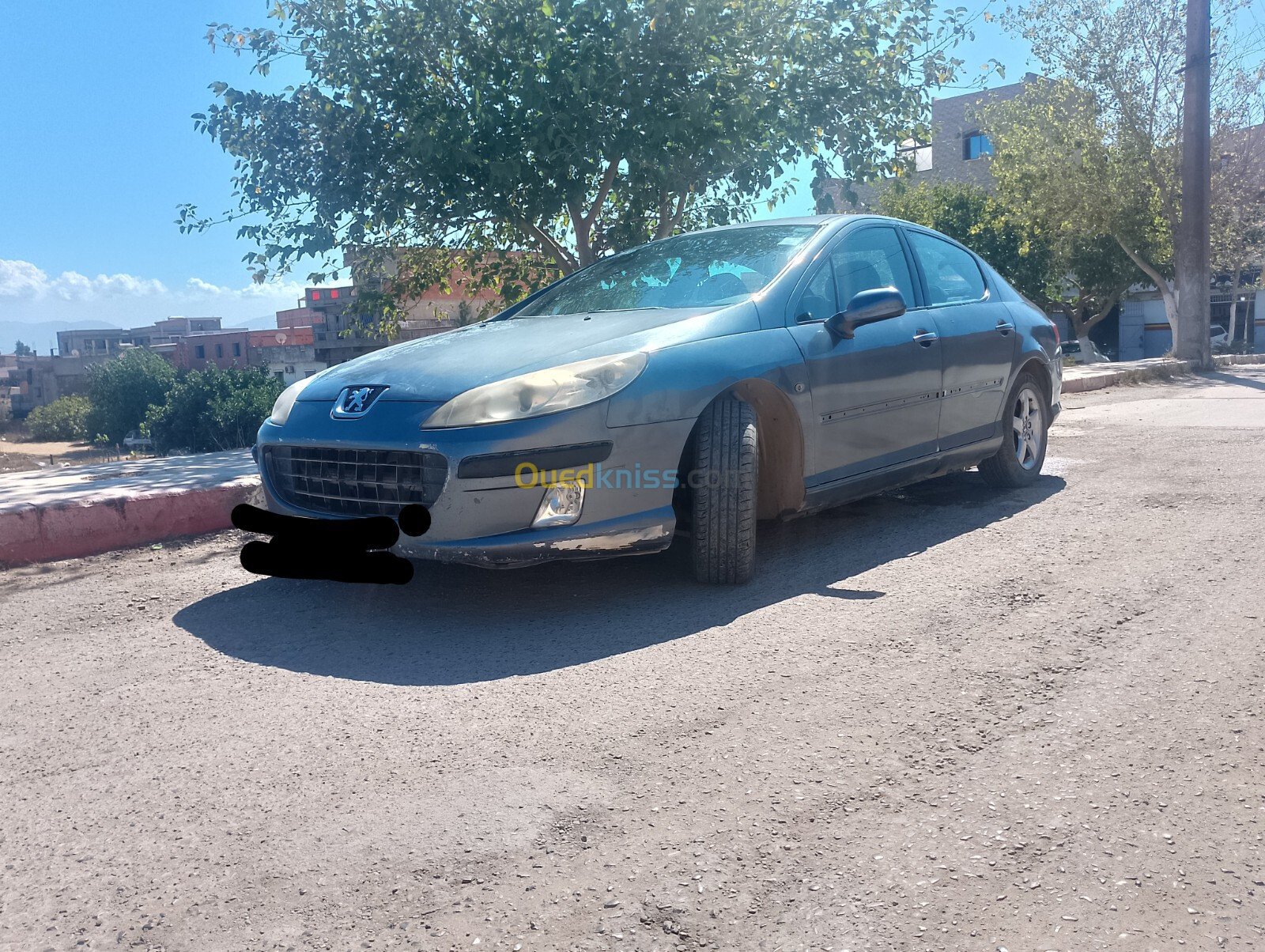 Peugeot 407 2005 407