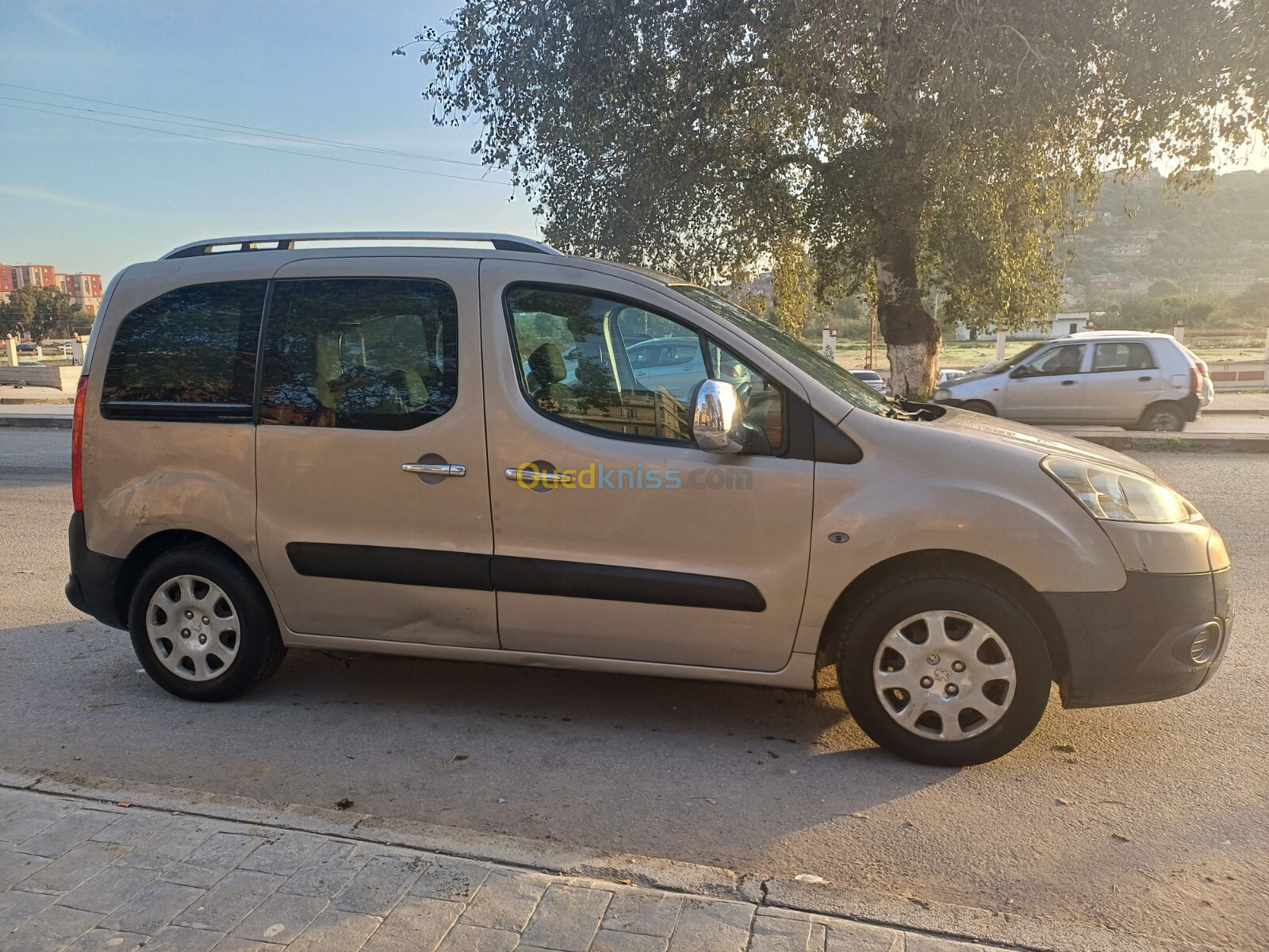 Peugeot Partner 2009 Tepee