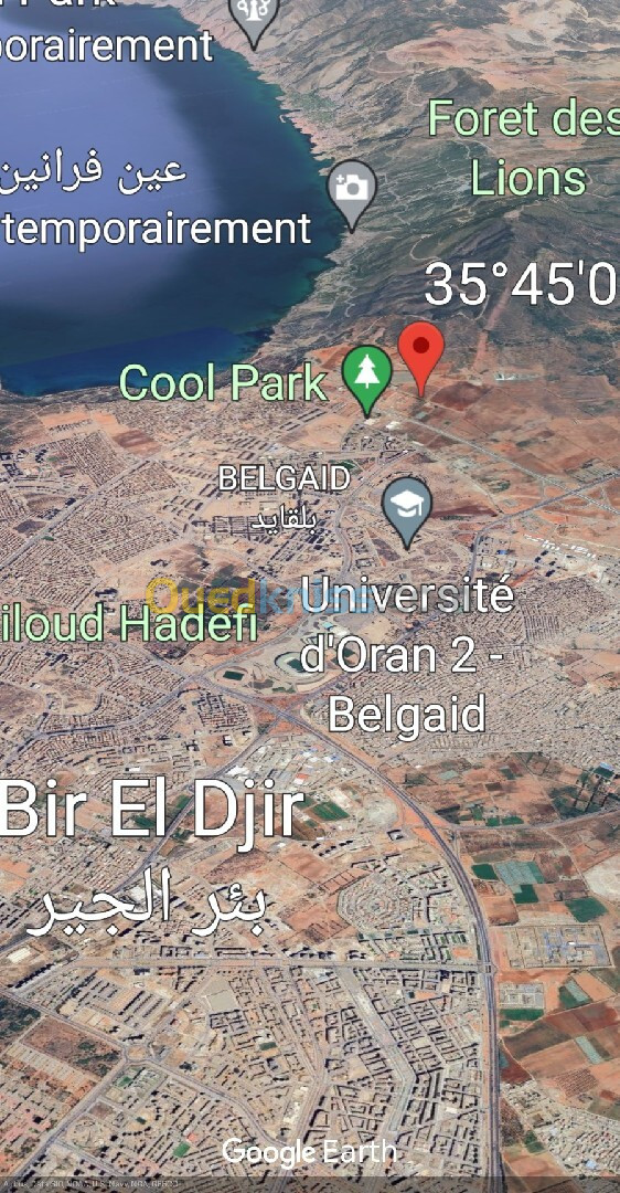 Vente Terrain Oran Bir el djir