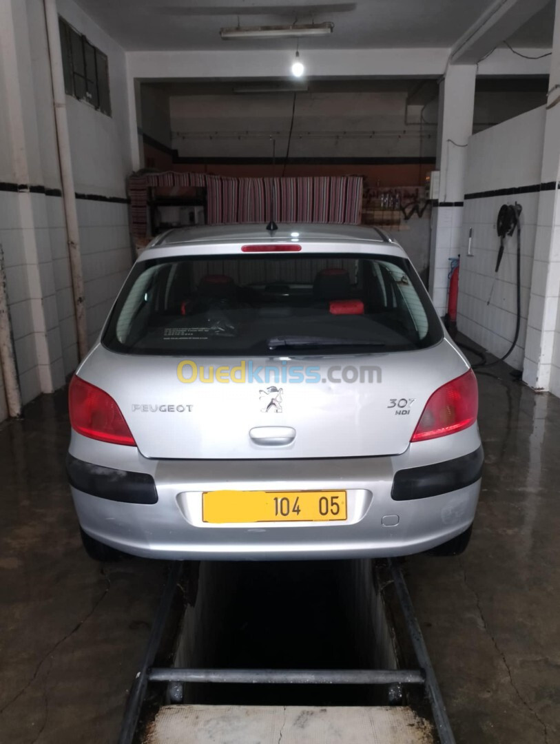 Peugeot 307 2004 XT