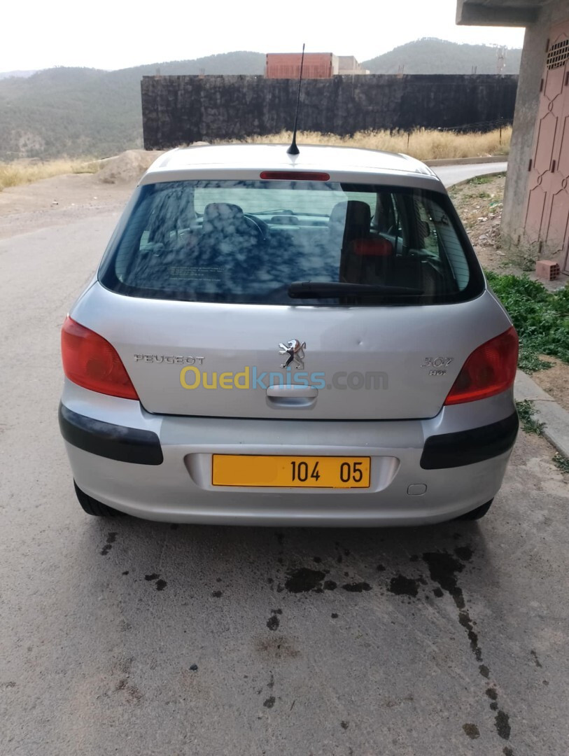 Peugeot 307 2004 XT