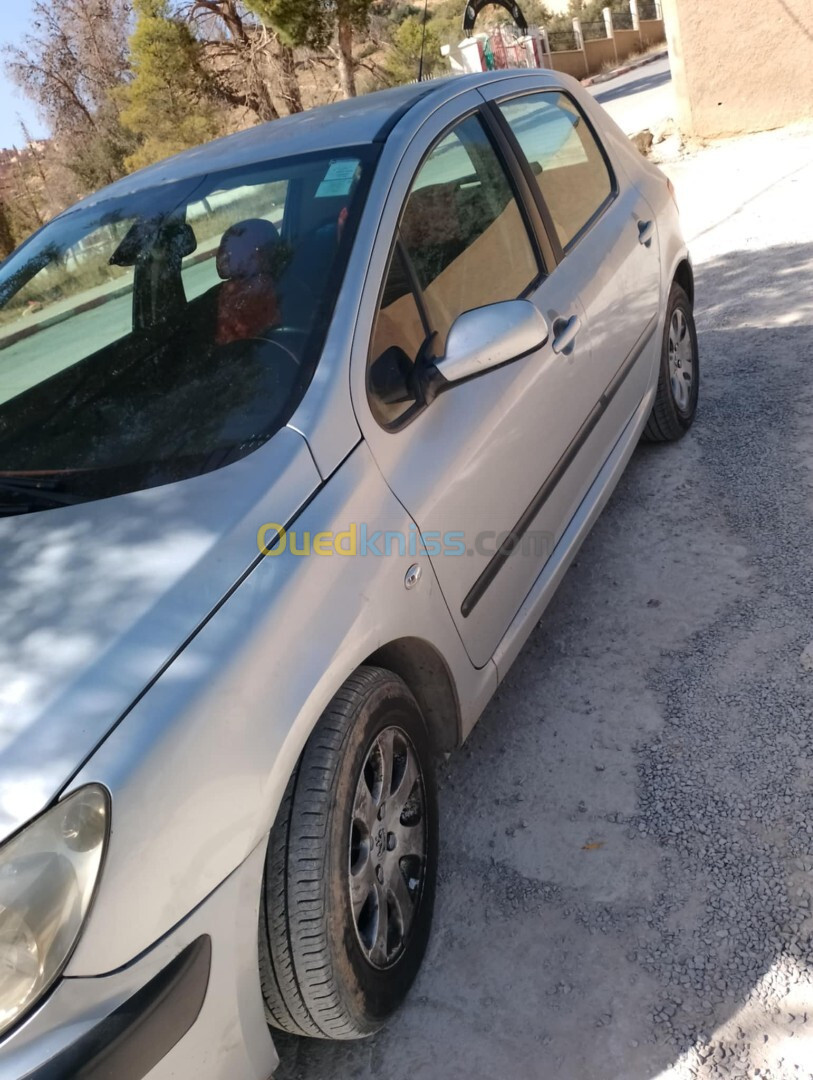 Peugeot 307 2004 307