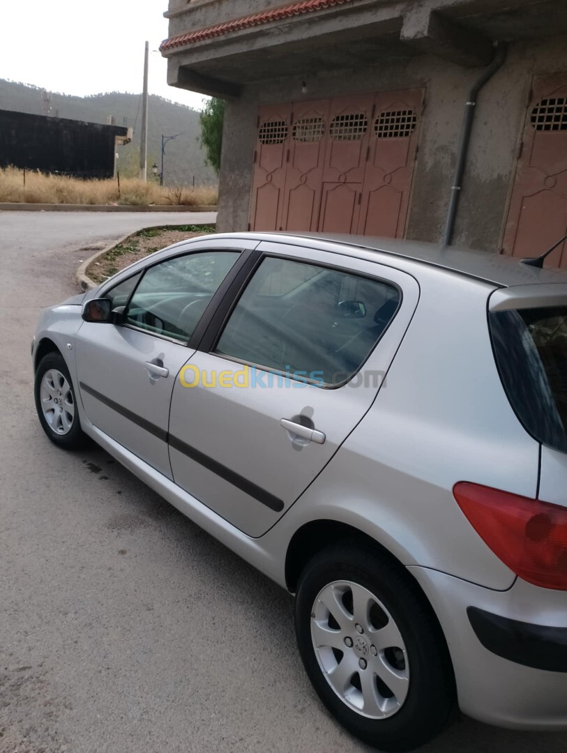 Peugeot 307 2004 XT