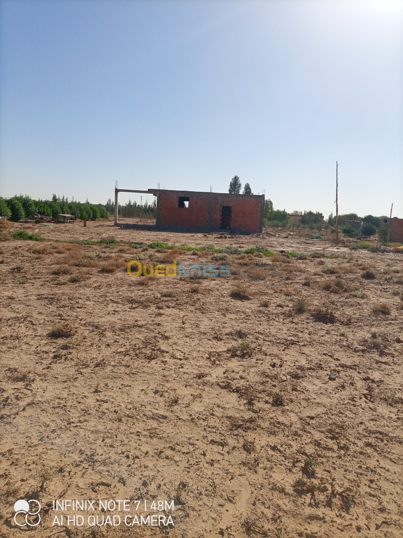 Vente Terrain Agricole Djelfa Zaafrane