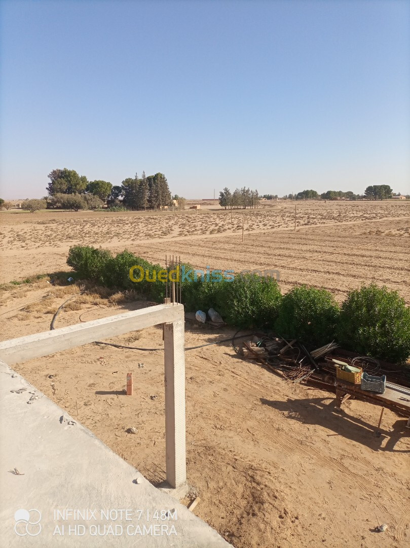 Vente Terrain Agricole Djelfa Zaafrane