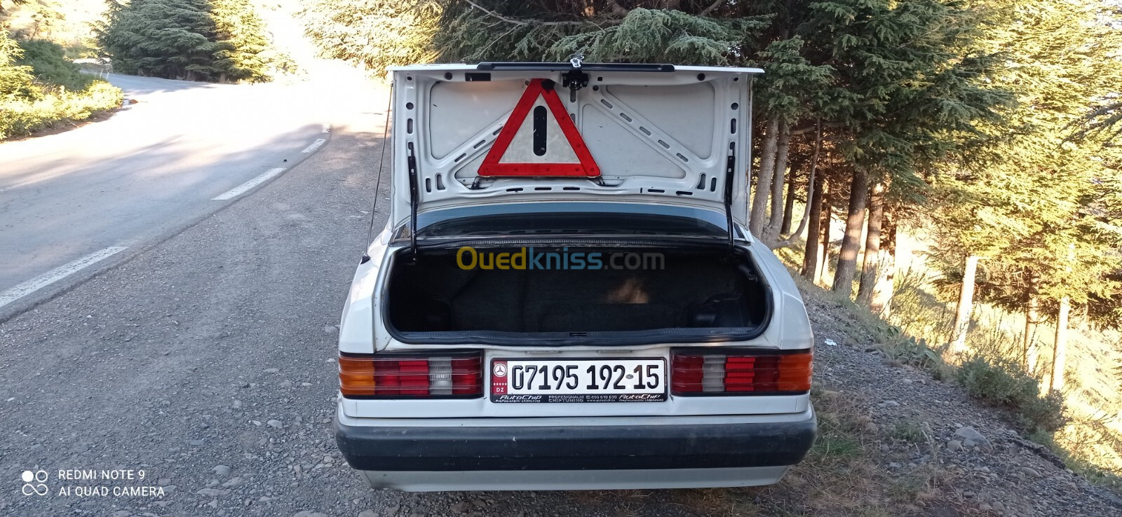 Mercedes 190 d 1992 190 d