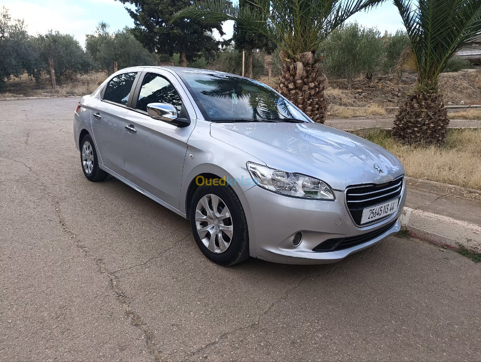 Peugeot 301 2013 Access