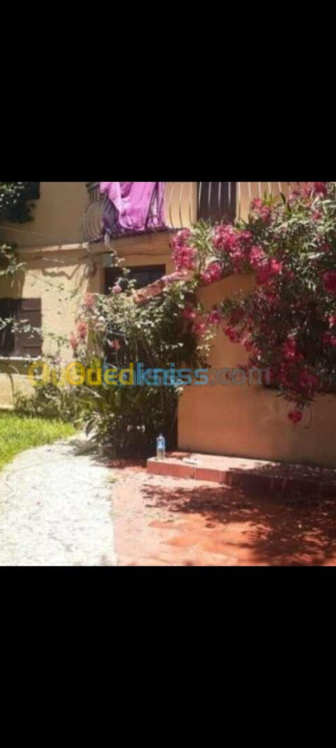 Vente Villa Alger Hraoua