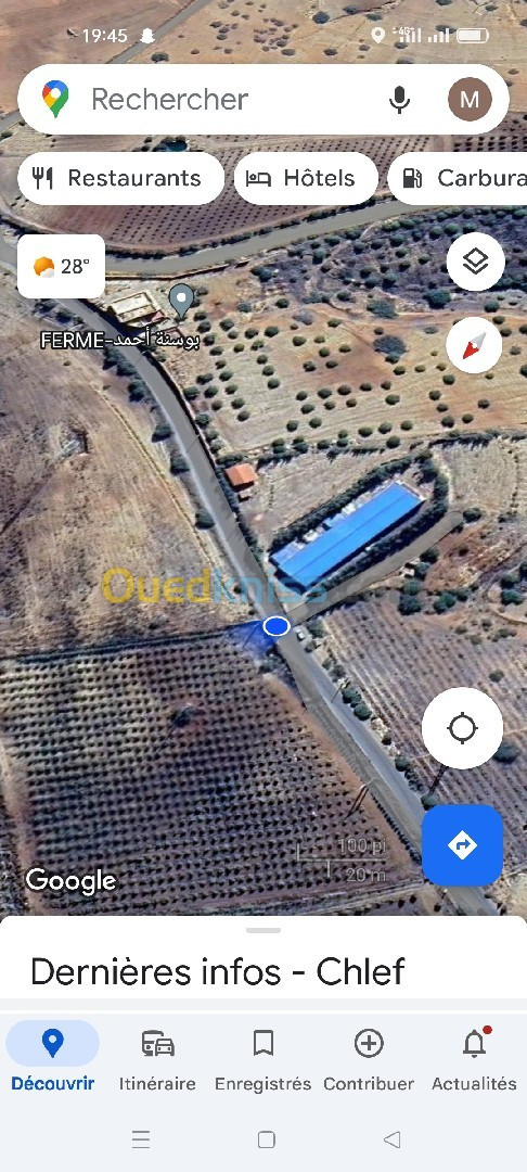 Vente Hangar Chlef Ouled fares