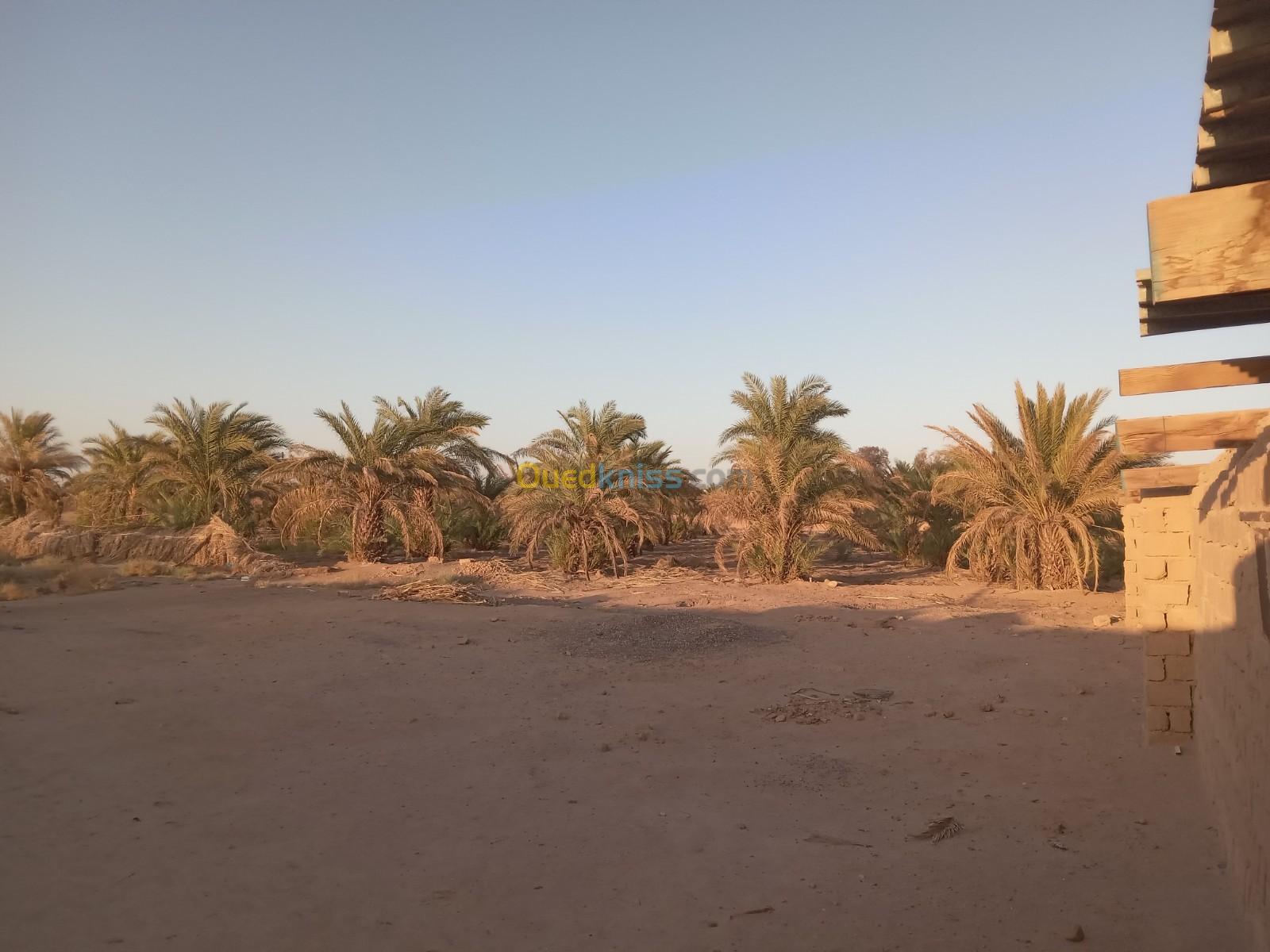 Vente Terrain Agricole Adrar Adrar