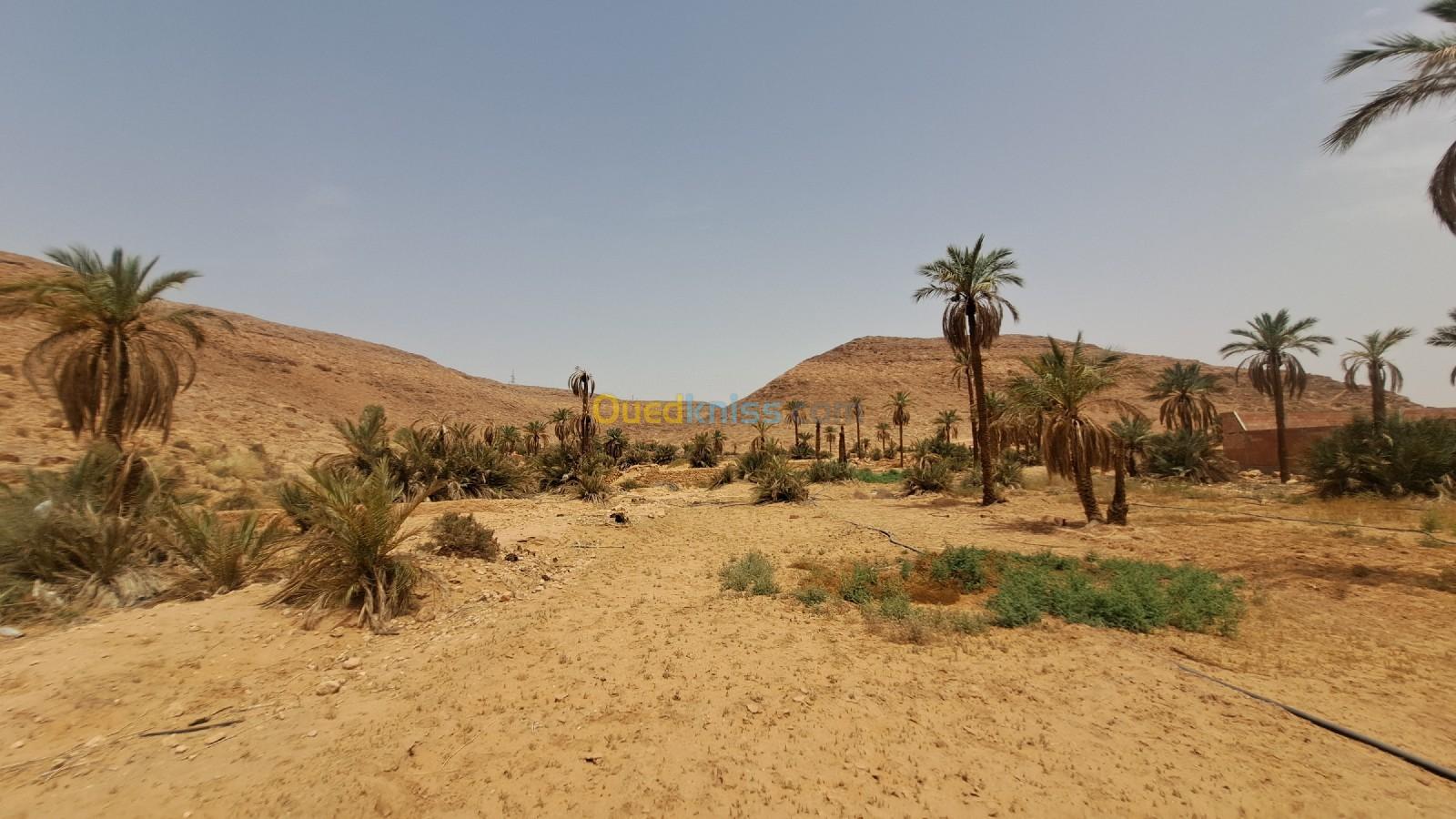 Vente Terrain Ghardaïa El atteuf