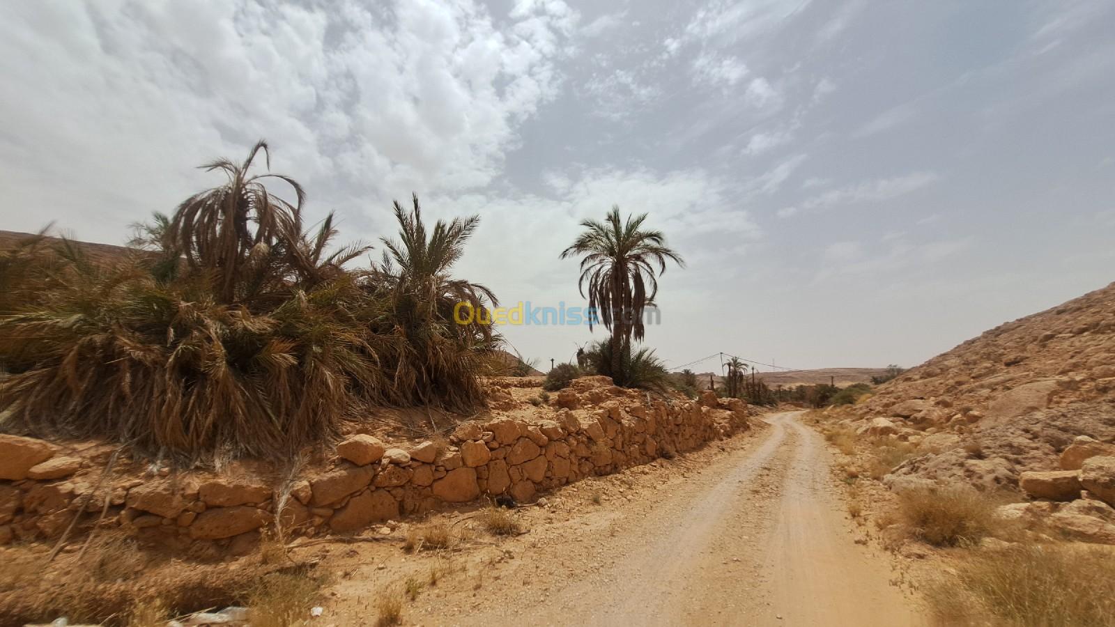 Vente Terrain Ghardaïa El atteuf