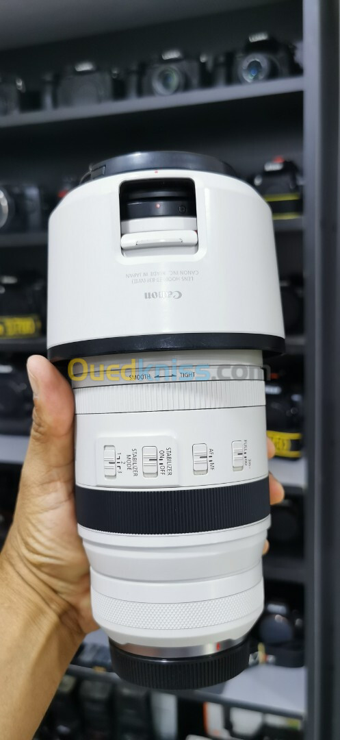 Canon RF 100-500 mm F4.5-7.1 L USM IS