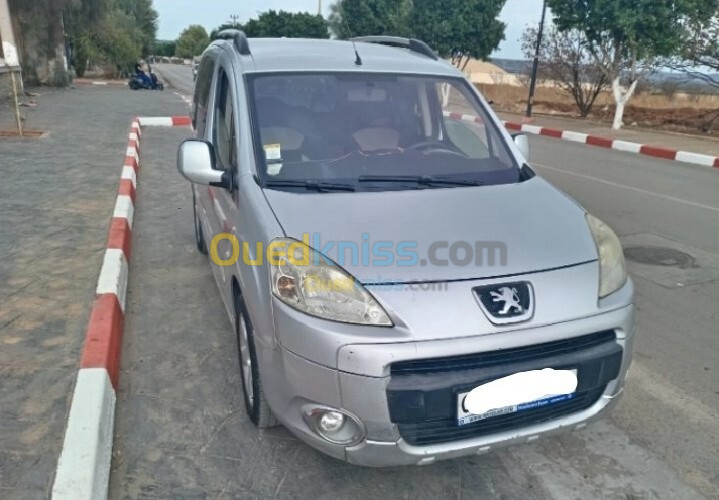 Peugeot Partner 2009 Tepee