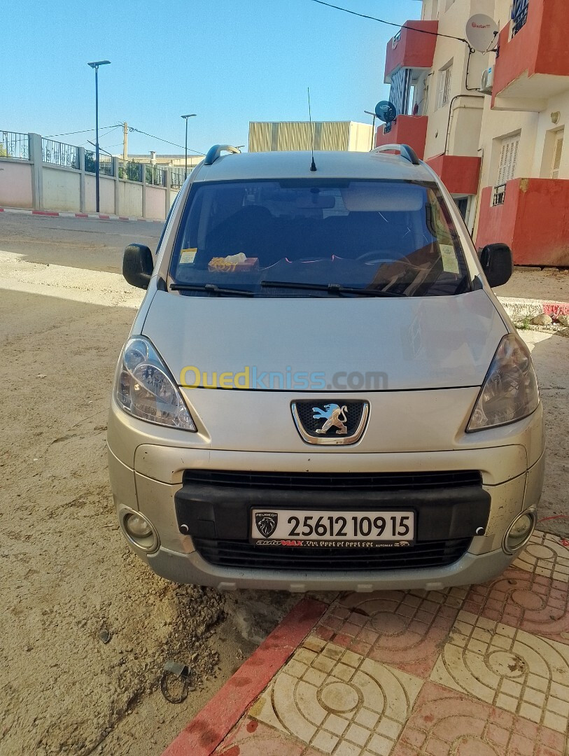 Peugeot Partner 2009 Tepee