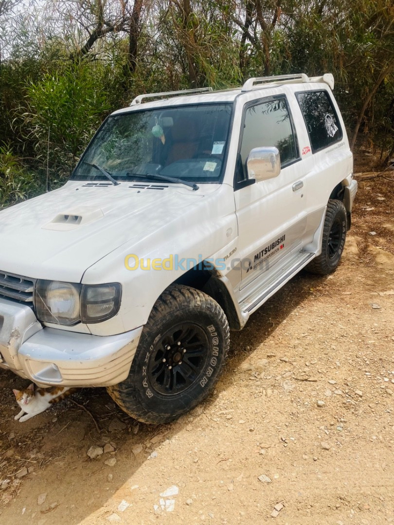 Mitsubishi Pajero Court 1999 Pajero Court