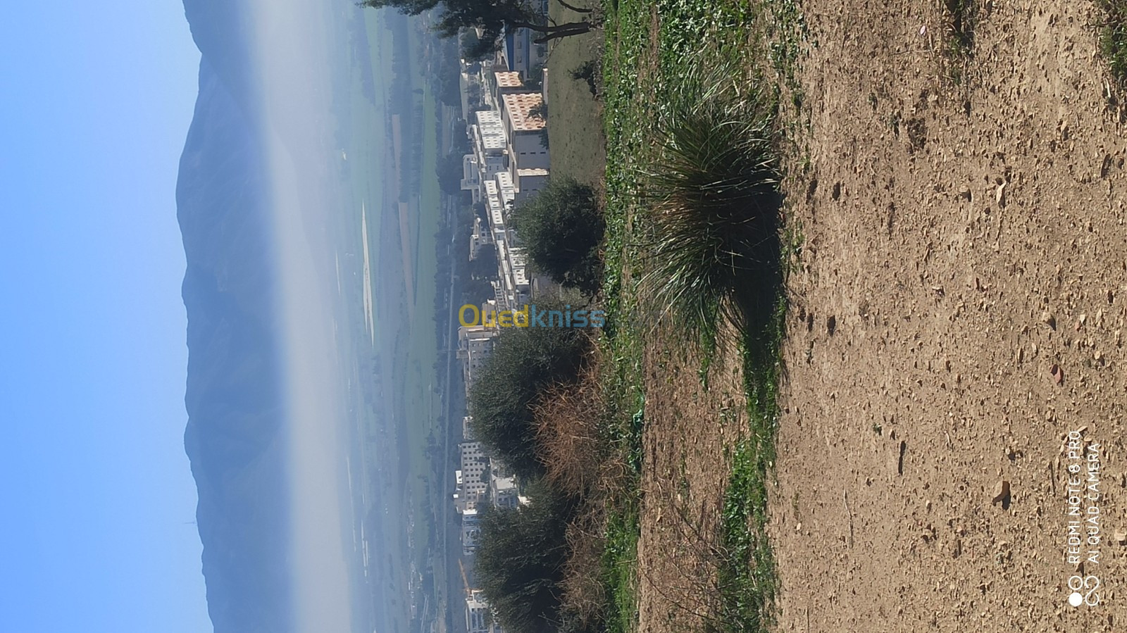 Vente Terrain Blida El affroun