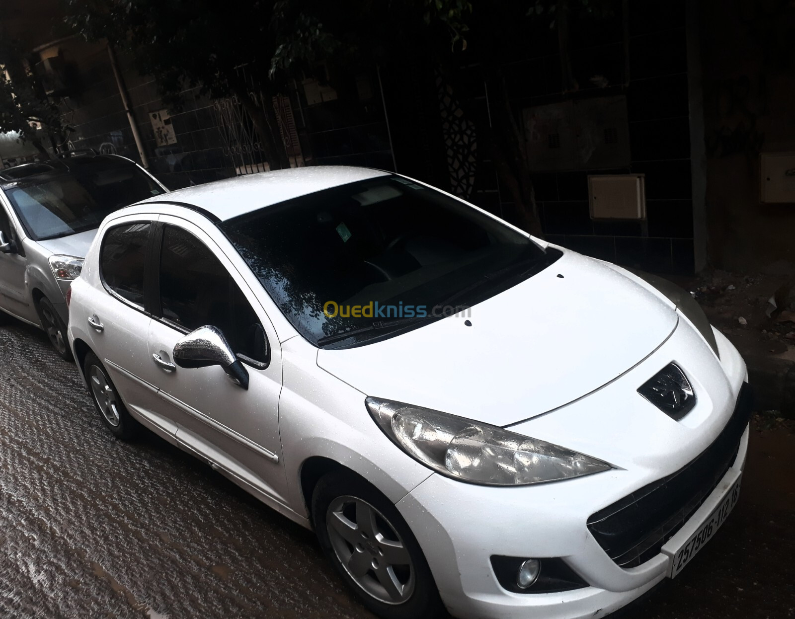 Peugeot 207 2012 Fennec