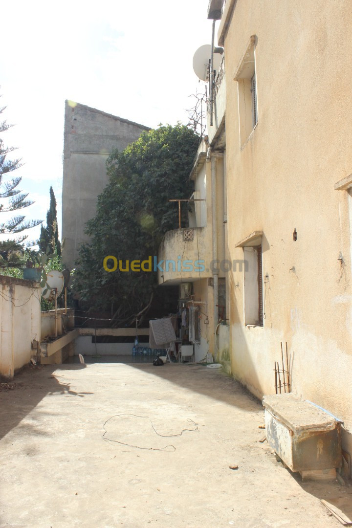 Vente Villa Alger Oued smar