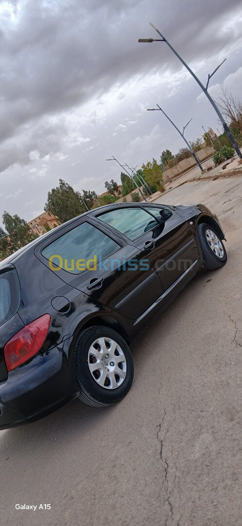 Peugeot 307 2002 307