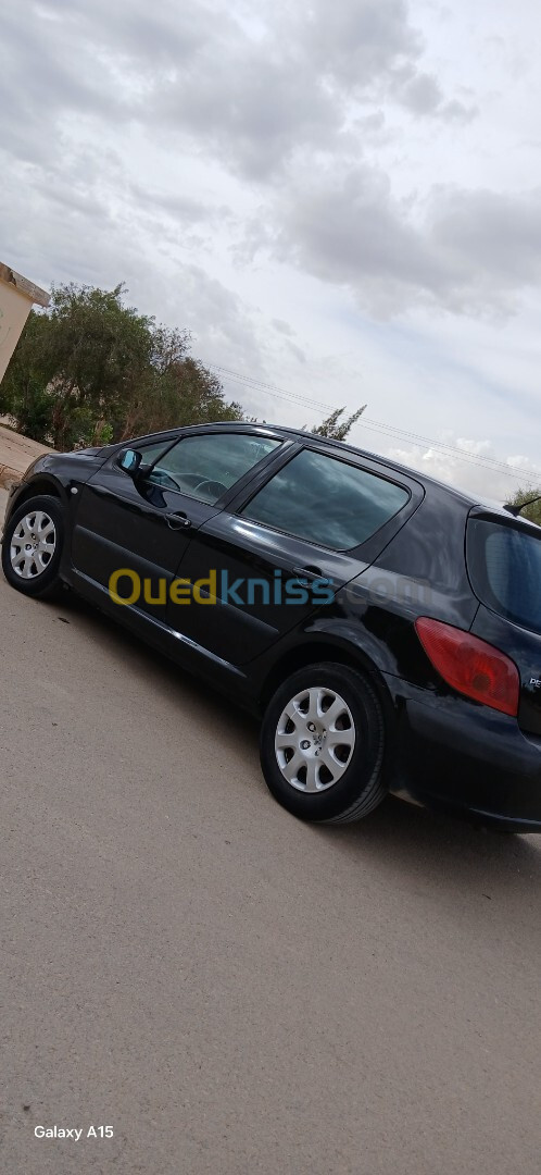 Peugeot 307 2002 307