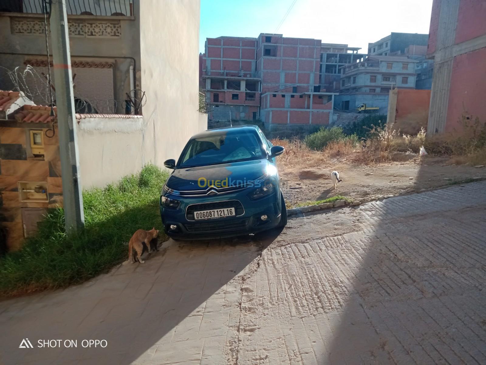 Citroen C4 Cactus 2021 C4 cactes