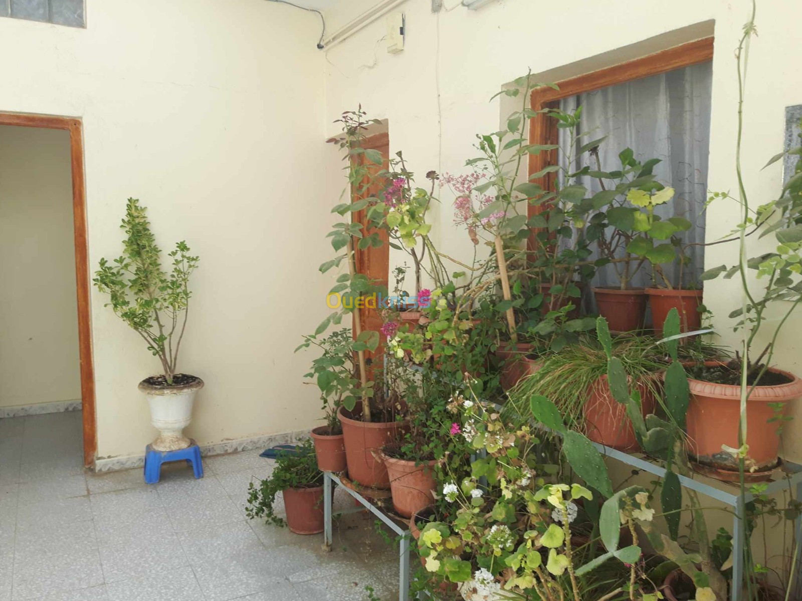 Vente Villa Djelfa Djelfa