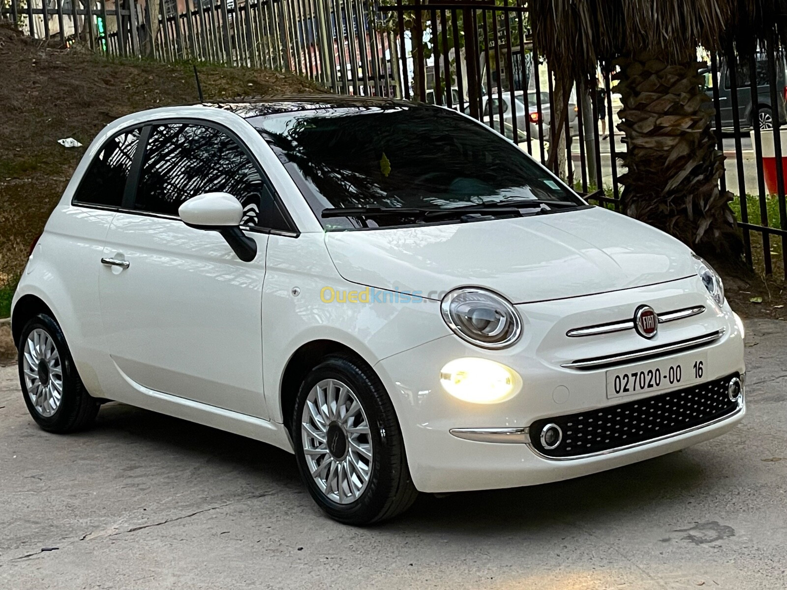 Fiat 500 2023 Club