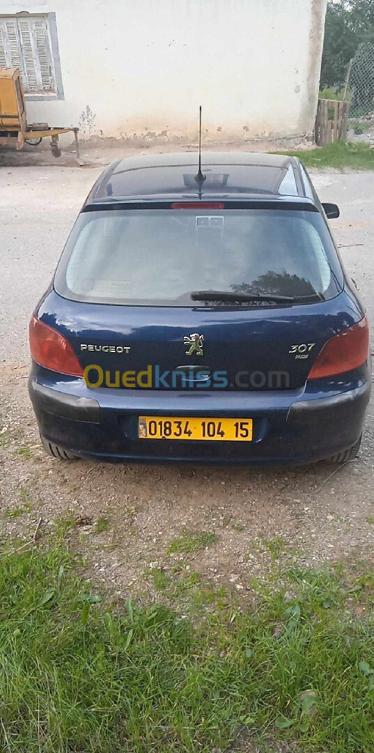 Peugeot 307 2004 307