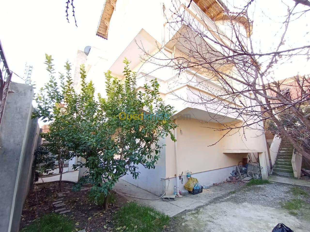 Vente Villa Guelma Oued zenati