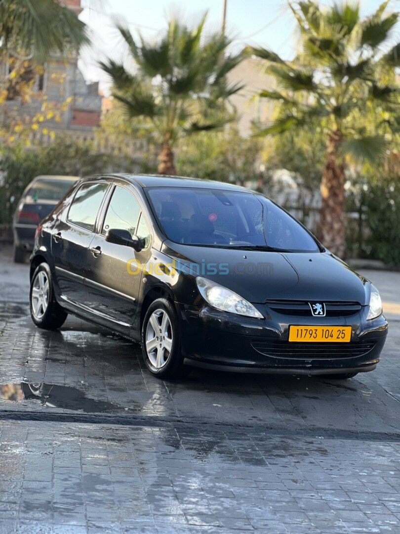 Peugeot 307 2004 307