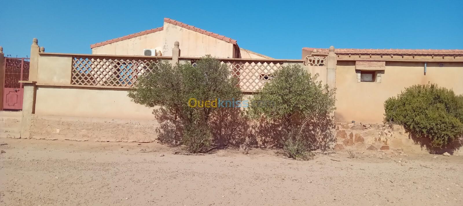 Vente Terrain Agricole Tiaret Djebilet rosfa