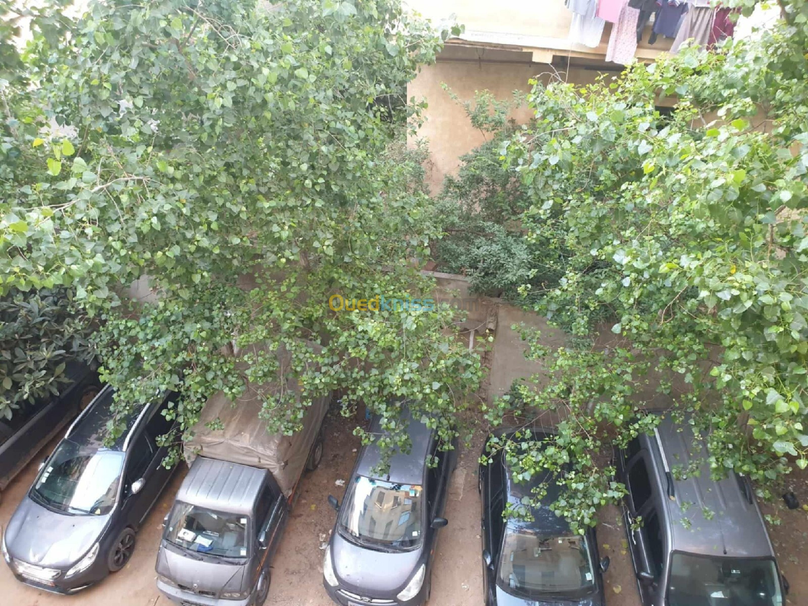 Location Appartement F3 Alger Bordj el kiffan