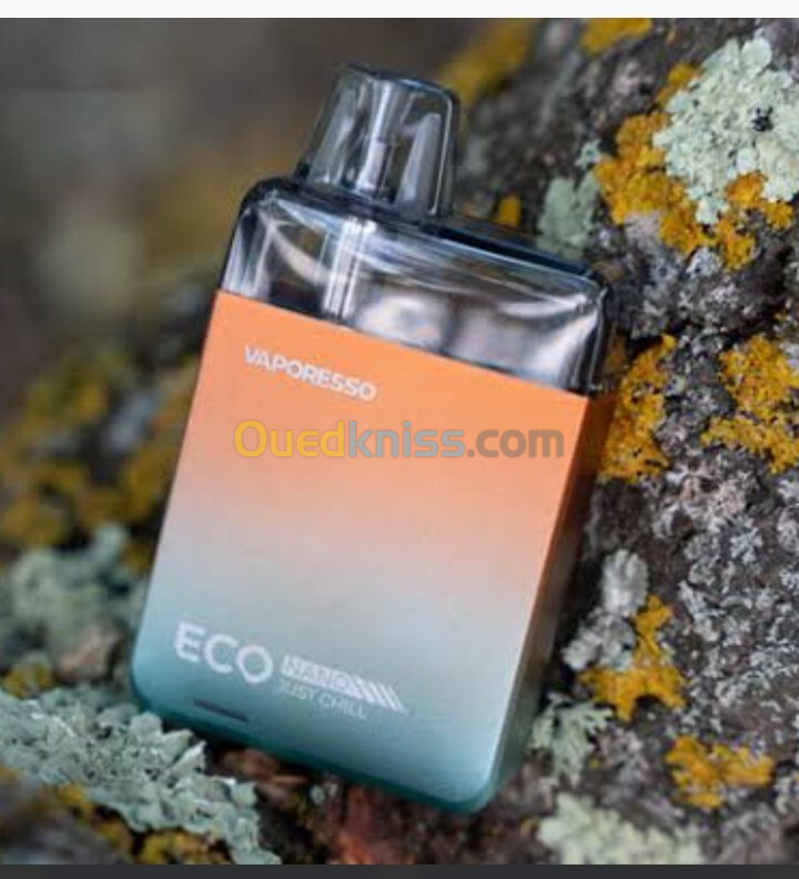 Cigarette électronique vaporesso eco nano 