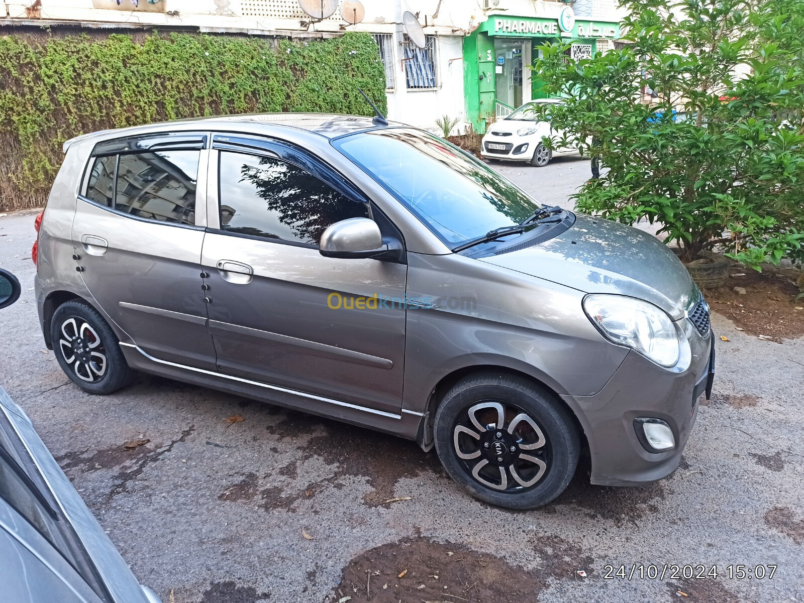 Kia Picanto 2011 Fani