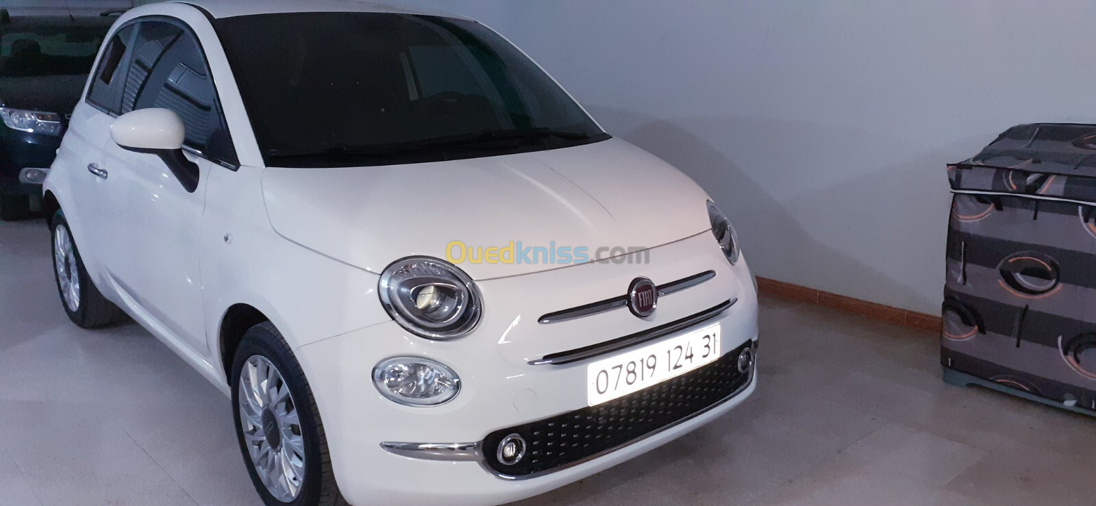 Fiat 500 2024 Delcevita