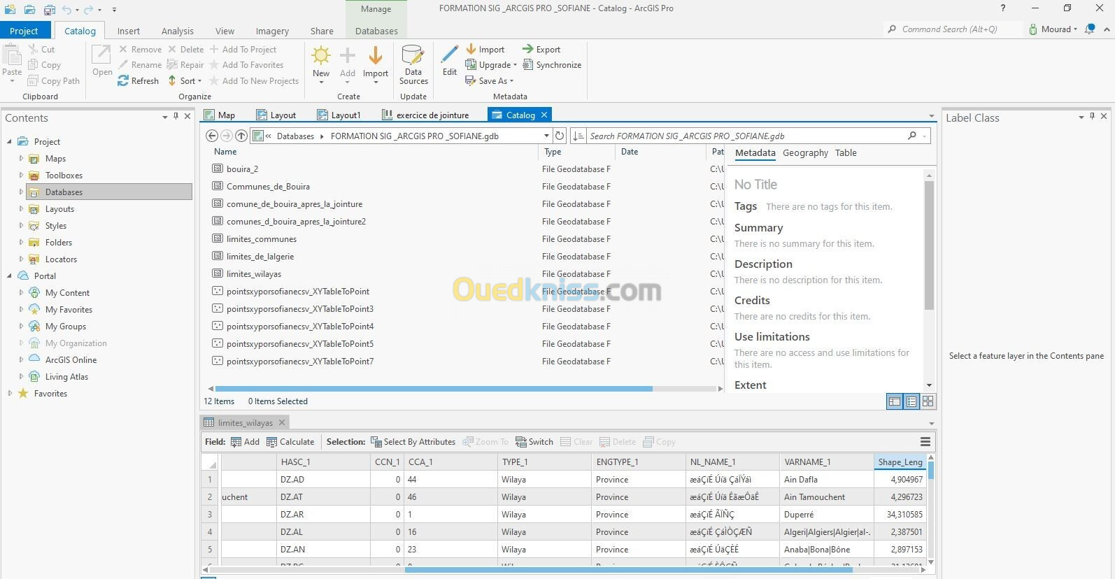  FORMATION  ARCGIS PRO  تكوين نظم معلومات جغرافية  ارك جيس برو 