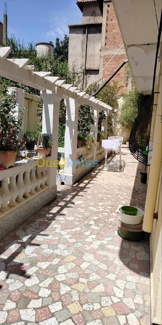 Vente Villa Blida Boufarik