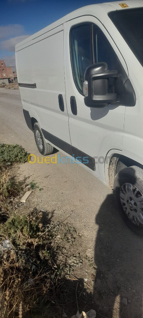 Peugeot Boxer 2015 caniche