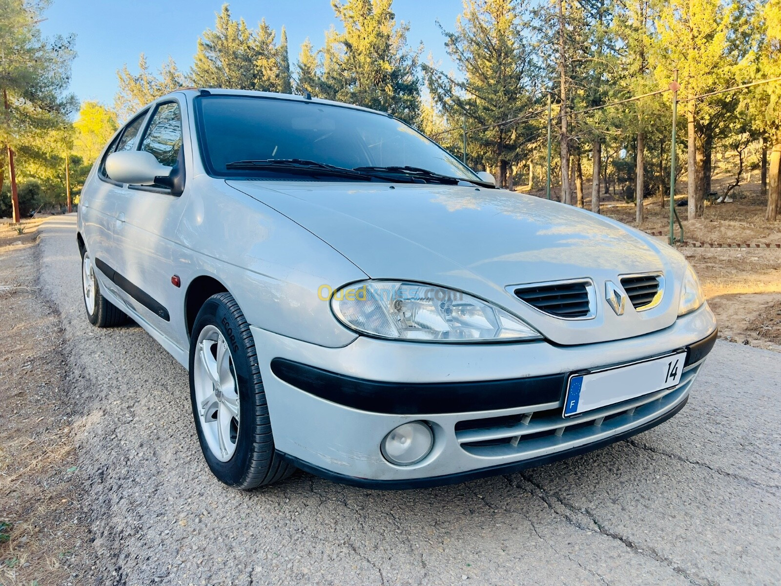 Renault Megane 1 2002 Megane 1