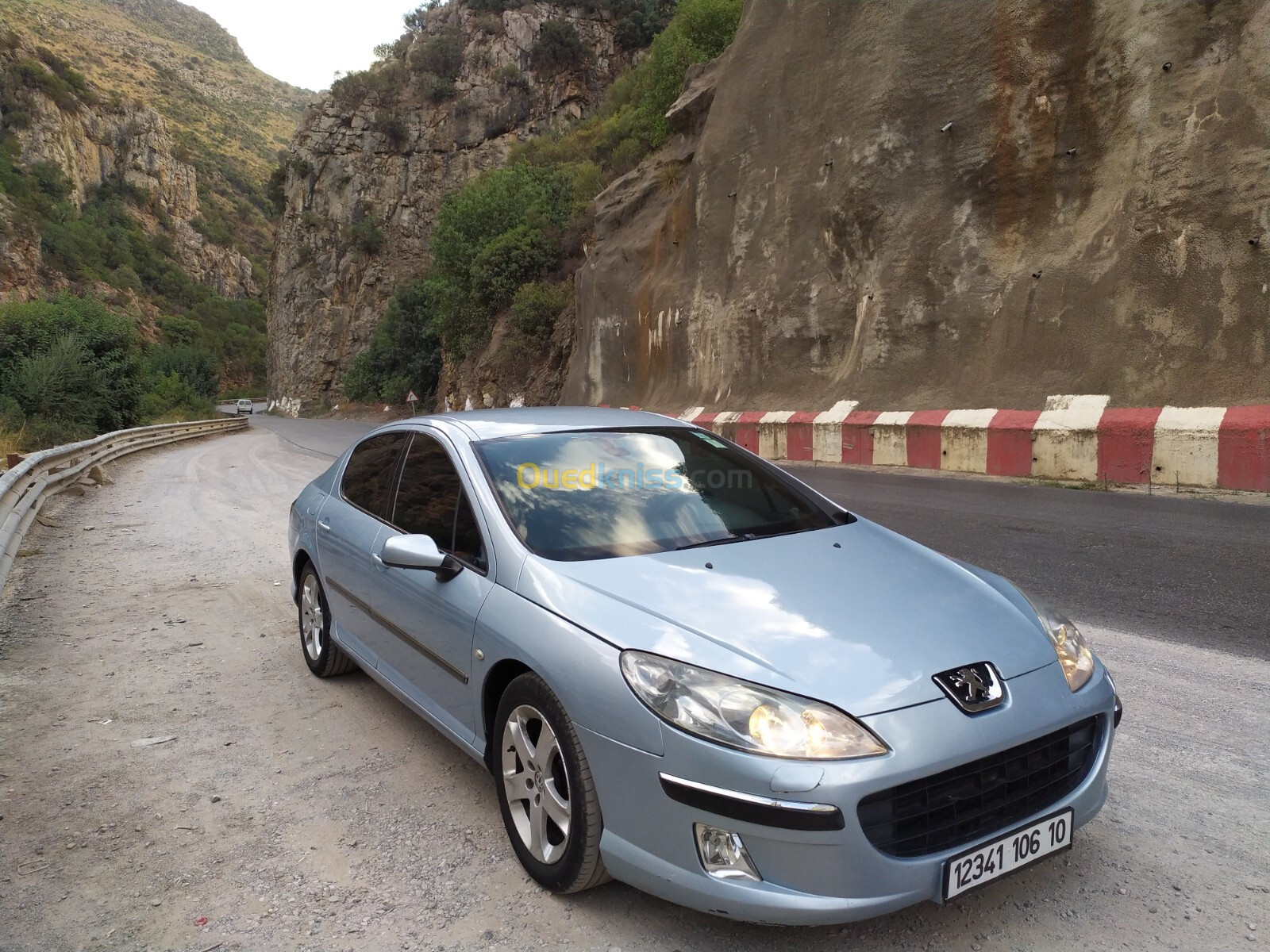 Peugeot 407 2006 407