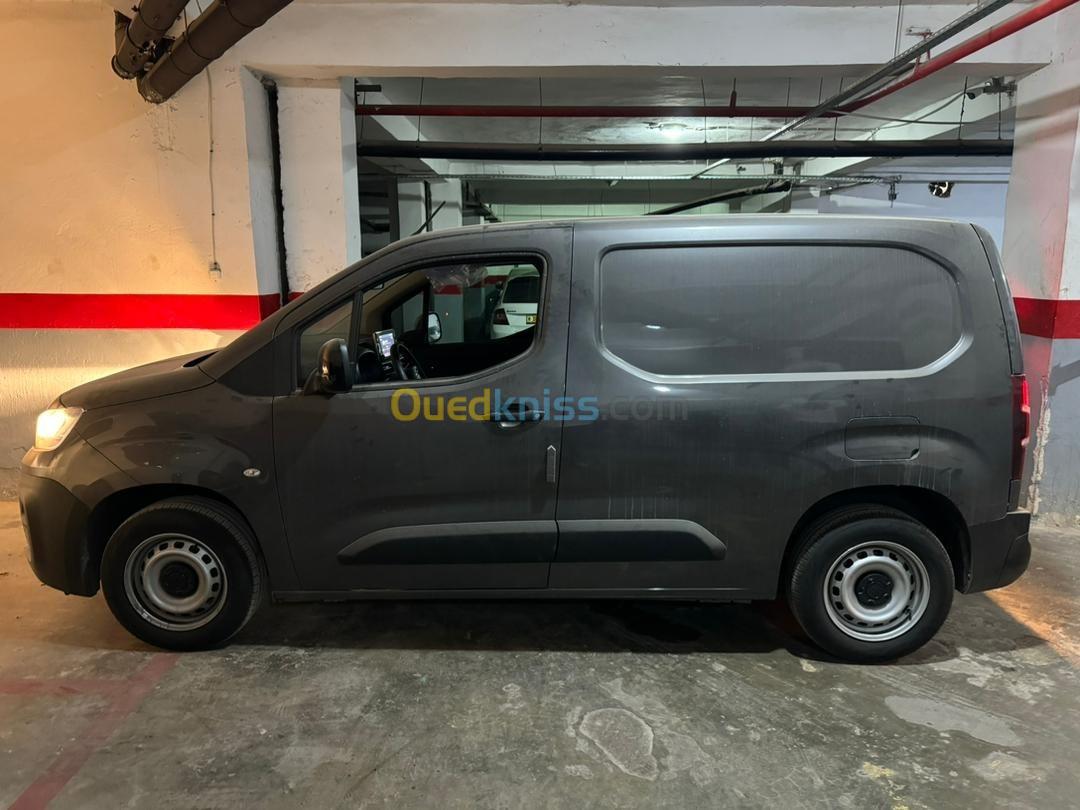 Fiat Doblo 2024 Professional