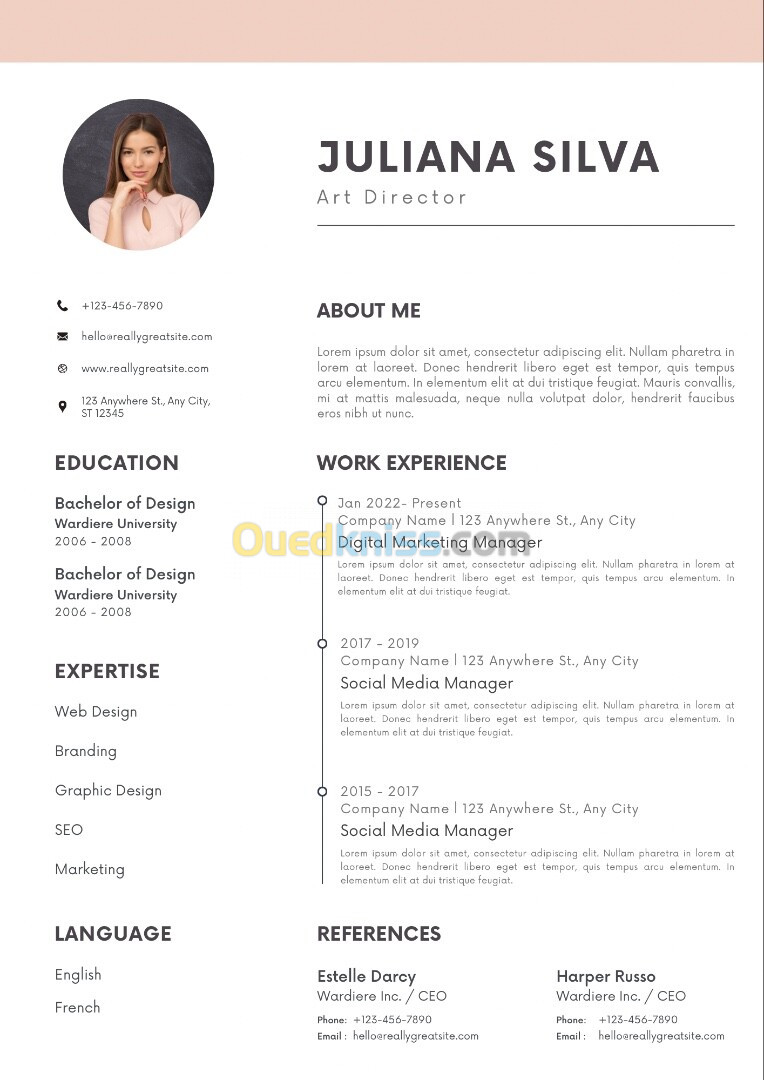 Creation de CV professionnel 