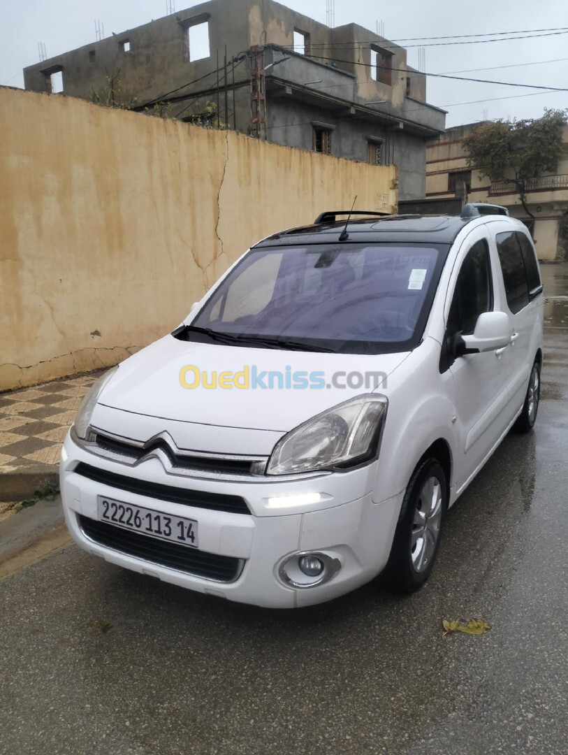 Citroen Berlingo 2013 Berlingo