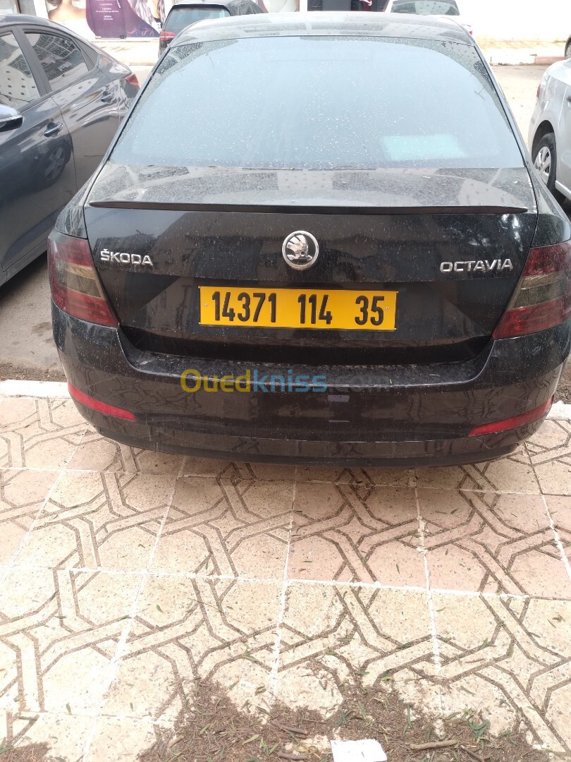 Skoda Octavia Combi 2014 Embiente