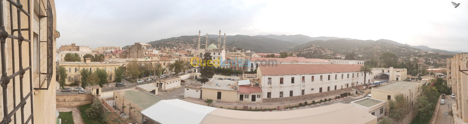 Vente Appartement F04 Blida Blida