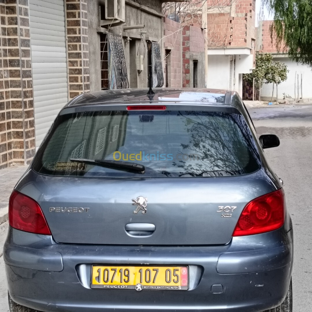 Peugeot 307 2007 Oxygo