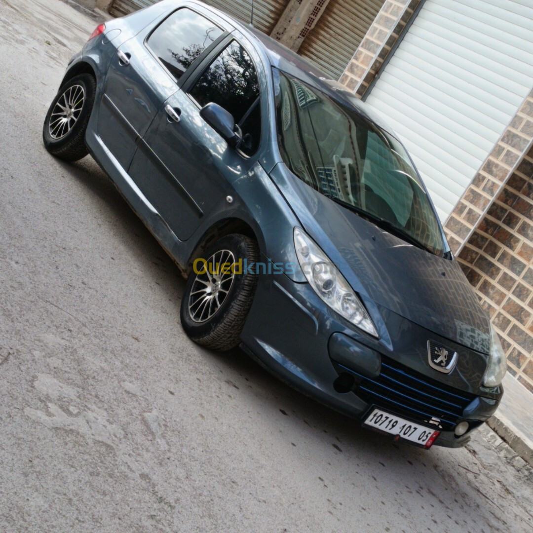 Peugeot 307 2007 Oxygo