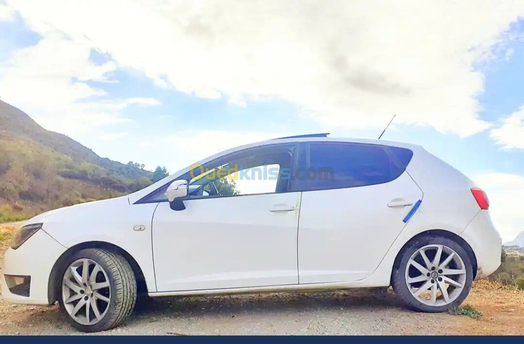 Seat Ibiza 2012 