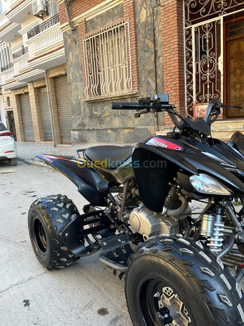 vms Quad 250 cc 2024